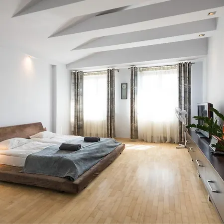Art&music Modern In 19th Century House Apartman *